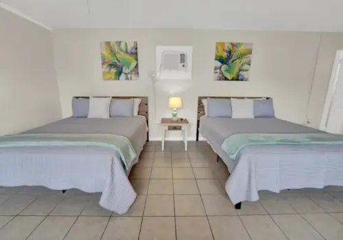 hdc99_a8jtmpfy9uroh4b-thumbnail